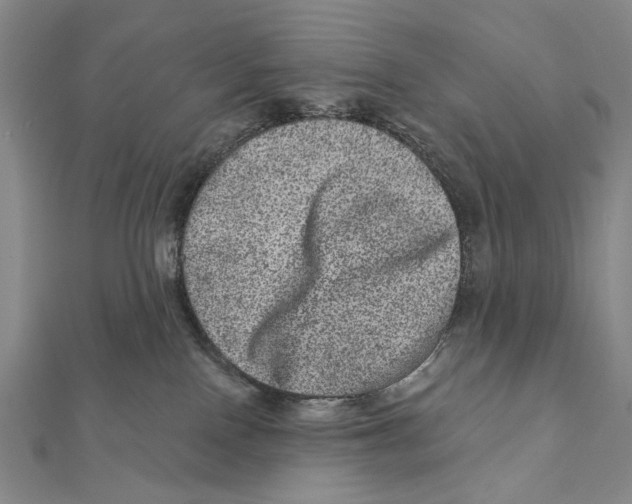 X0000111870090200908201226