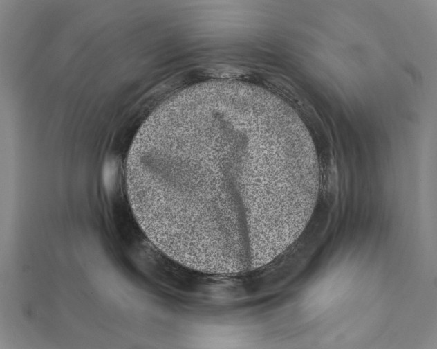 X0000111870095200908201226