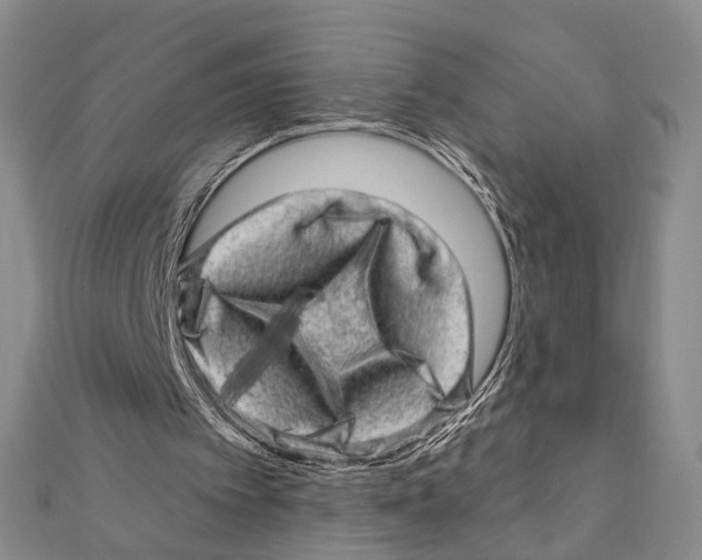 X0000111870097200908201225