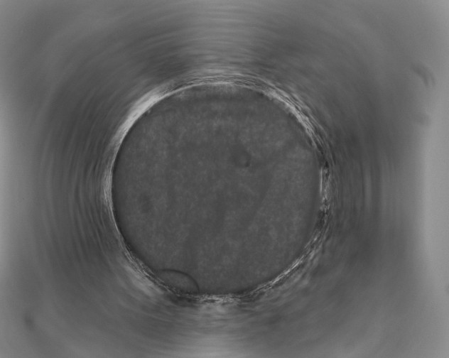 X0000111870099200908201225