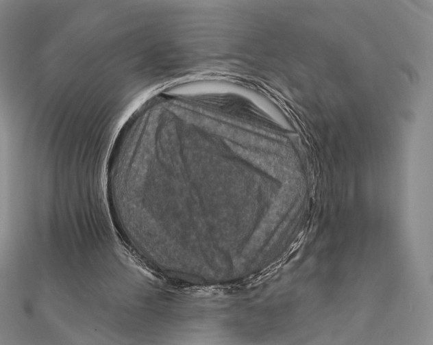 X0000111870100200908201225