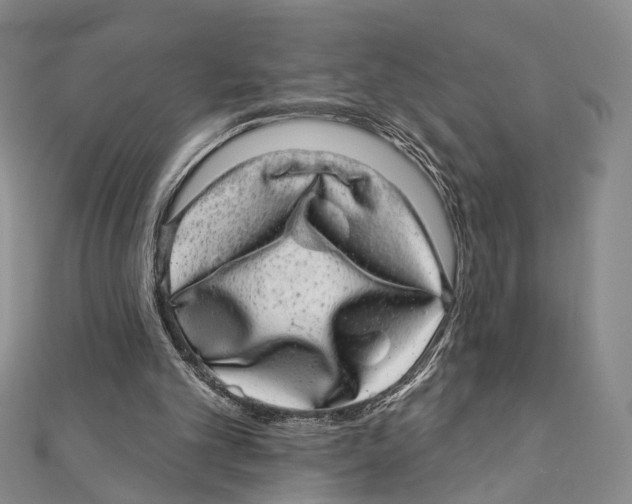 X0000111870101200908201225