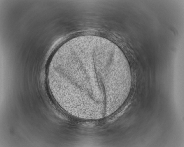 X0000111870102200908201225