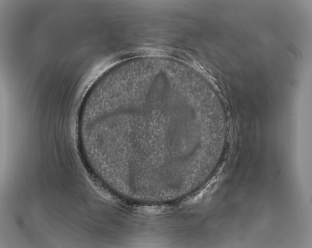 X0000111870103200908201225