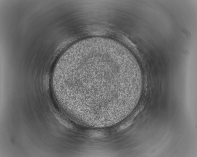 X0000111870106200908201225