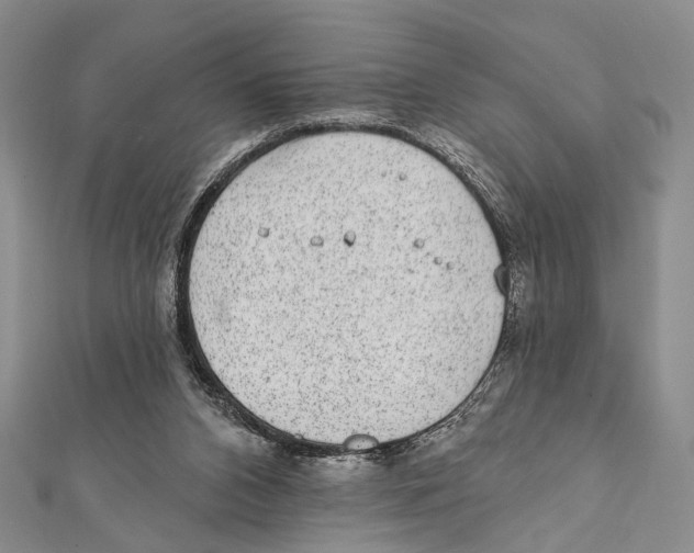 X0000111870112200908201225