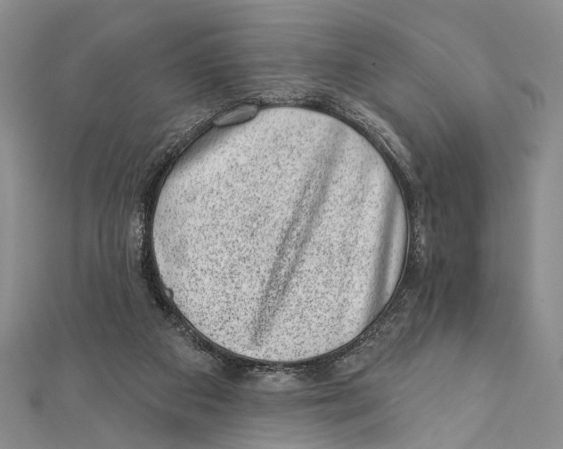 X0000111870113200908201225