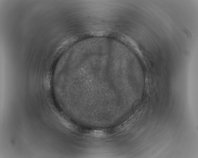 X0000111870114200908201225