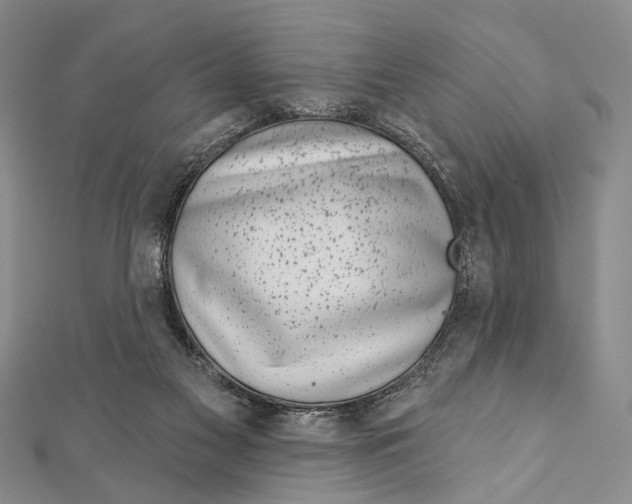 X0000111870117200908201225