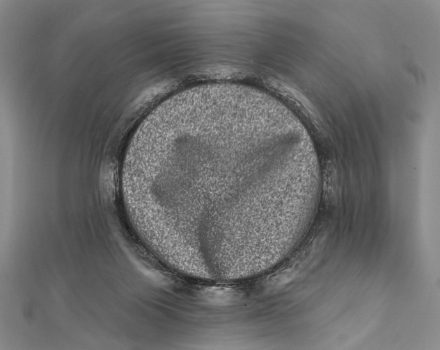 X0000111870119200908201225