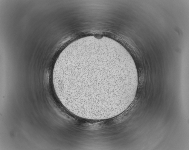 X0000111870120200908201225