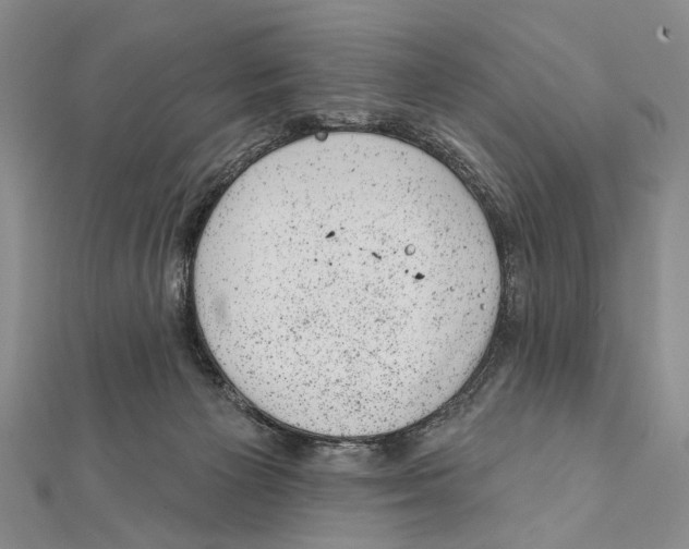 X0000111870125200908201225