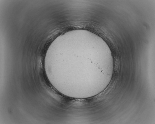 X0000111870128200908201225