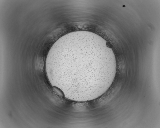 X0000111870129200908201225