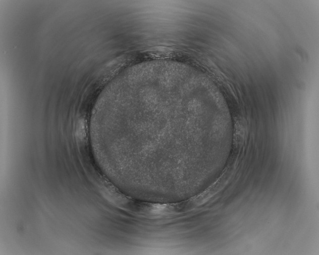 X0000111870130200908201225