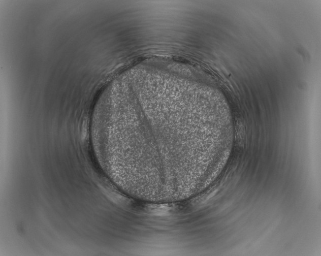 X0000111870131200908201225