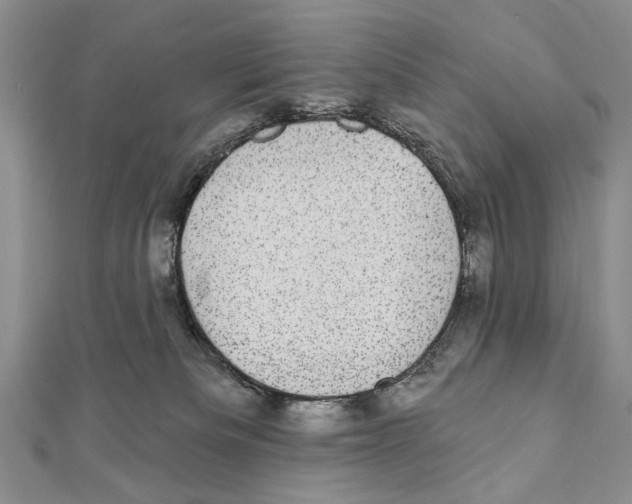 X0000111870133200908201225