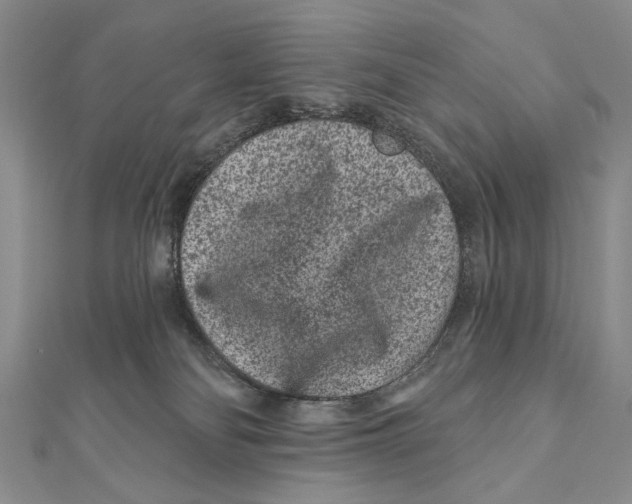 X0000111870134200908201225