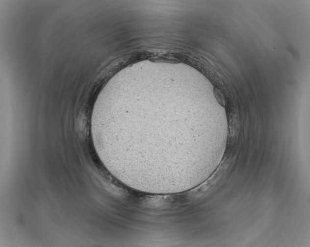 X0000111870136200908201225