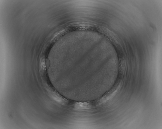 X0000111870137200908201224