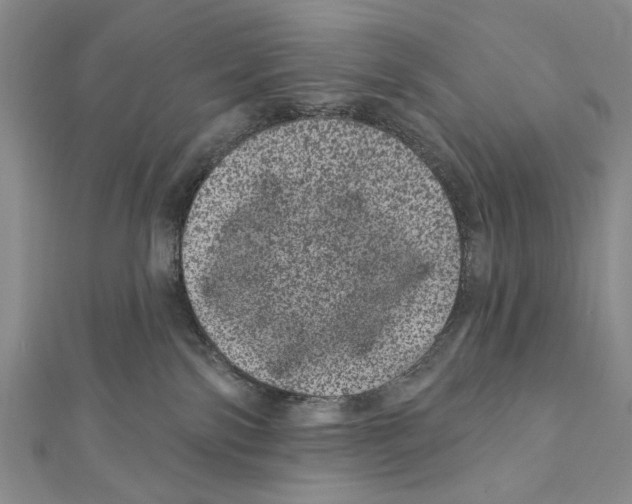 X0000111870138200908201224