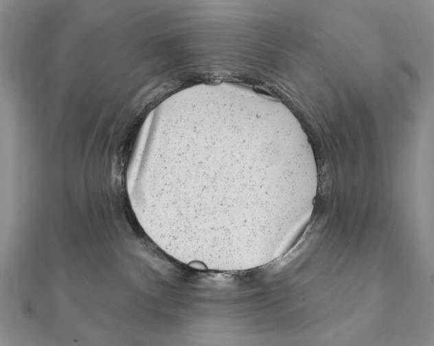 X0000111870140200908201224