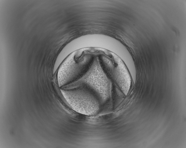 X0000111870141200908201224