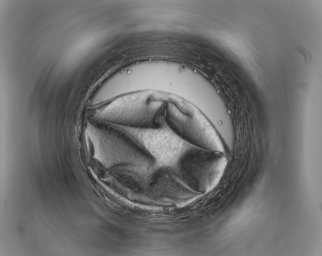 X0000111870146200908201224