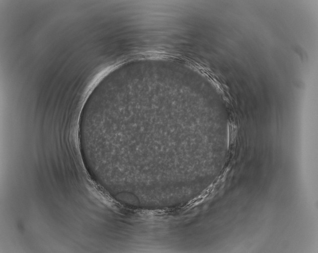 X0000111870147200908201224