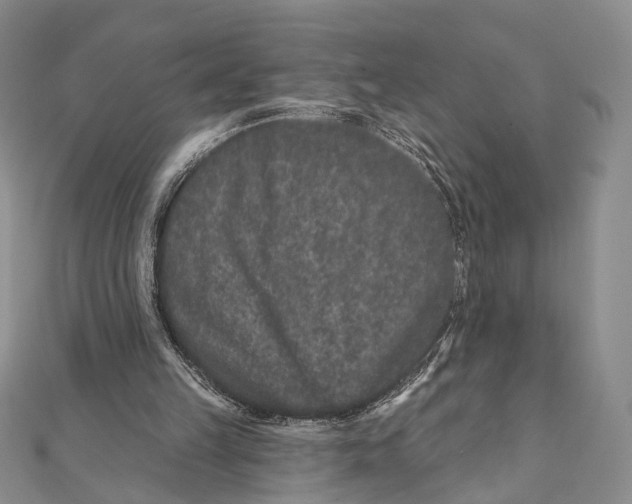 X0000111870149200908201224