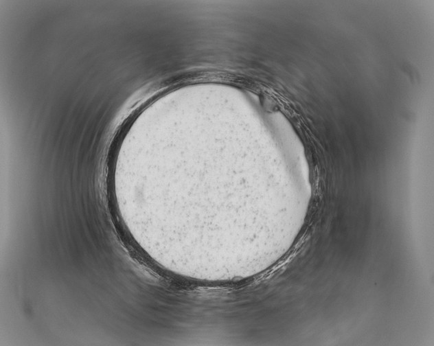 X0000111870150200908201224