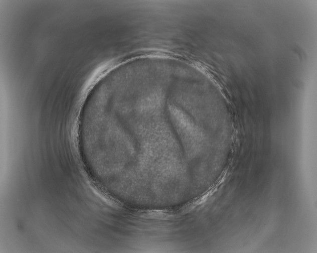 X0000111870151200908201224