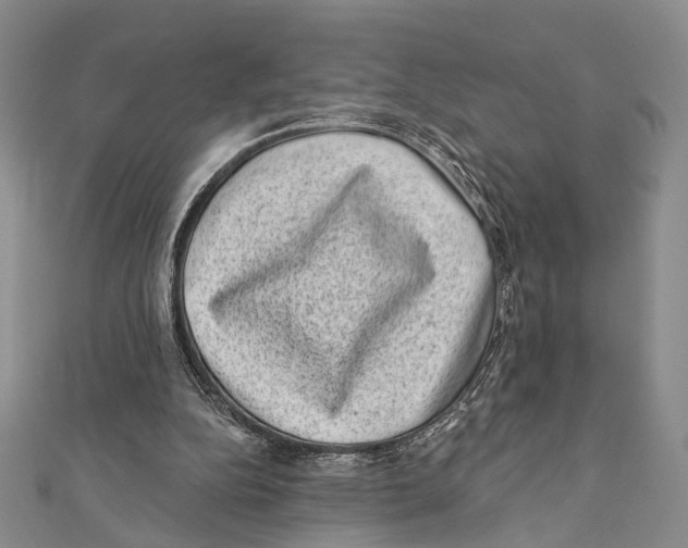 X0000111870152200908201224