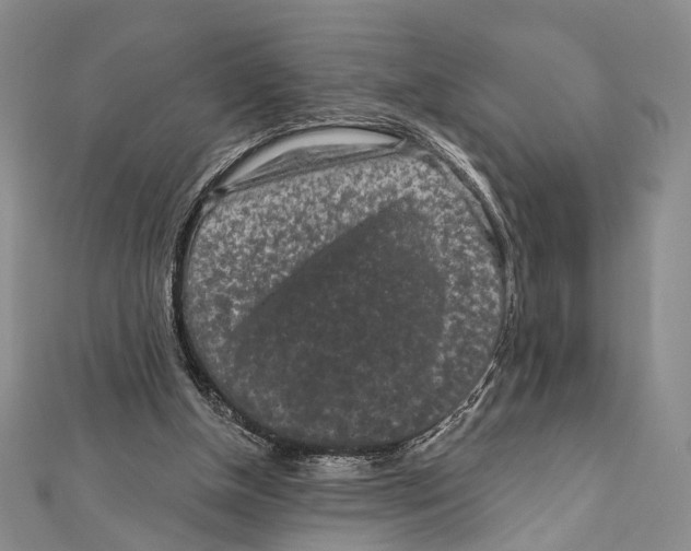 X0000111870154200908201224