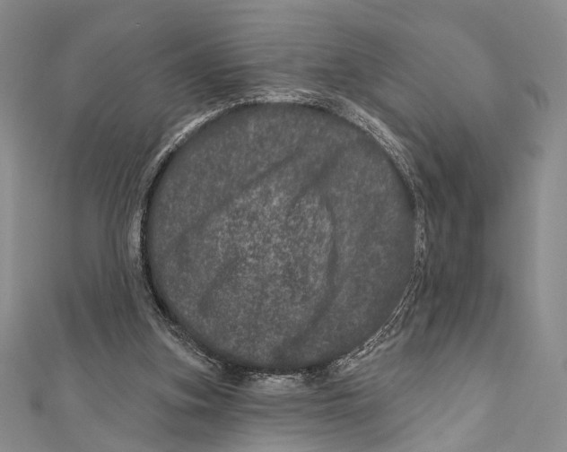 X0000111870155200908201224