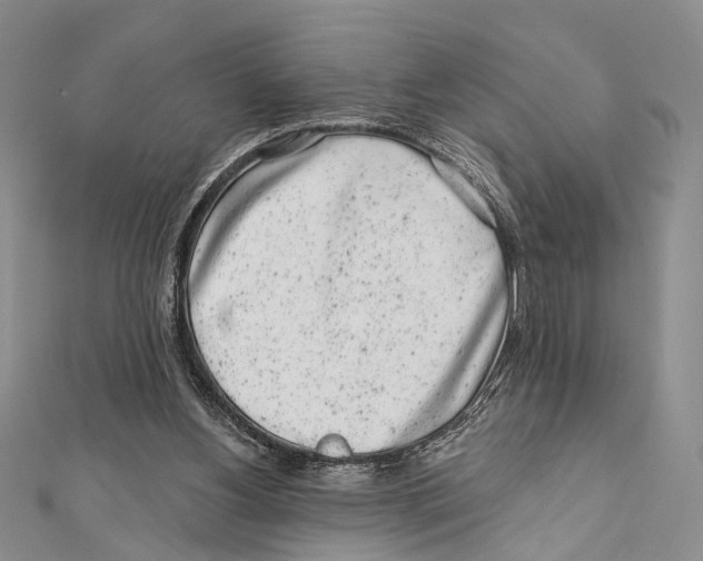 X0000111870156200908201224