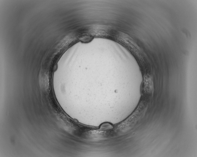 X0000111870158200908201224