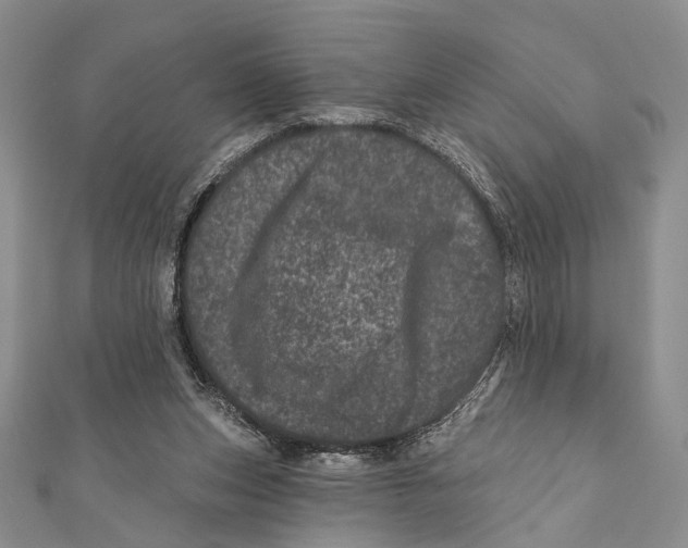 X0000111870159200908201224