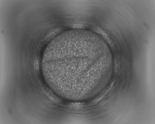 X0000111870161200908201224