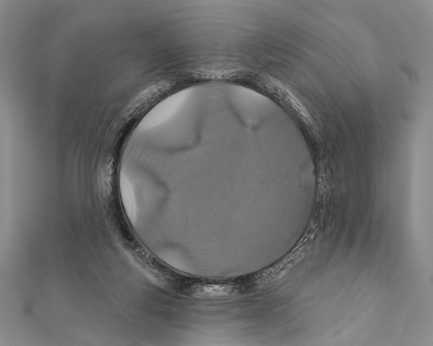 X0000111870163200908201224