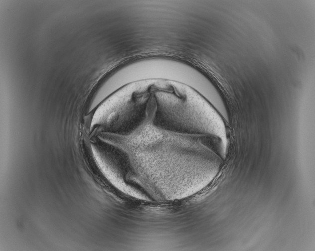 X0000111870164200908201224