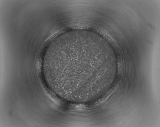 X0000111870165200908201224