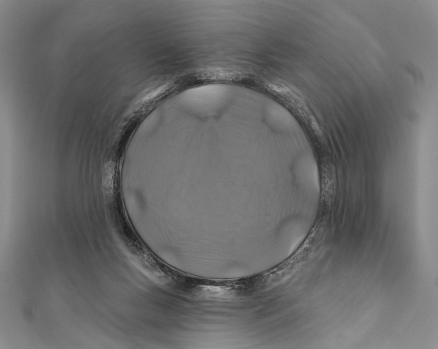 X0000111870167200908201224