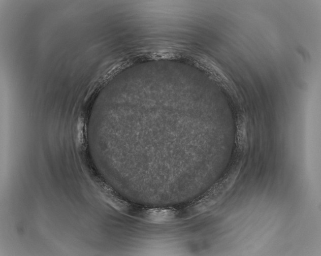 X0000111870169200908201224