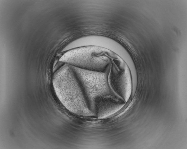 X0000111870170200908201224