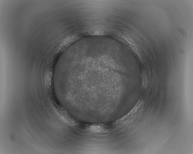 X0000111870171200908201224