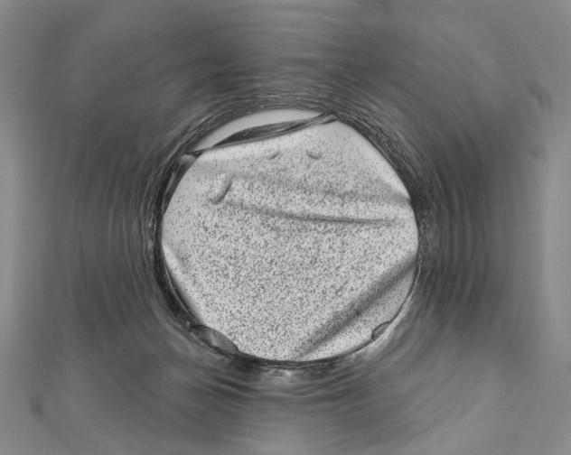 X0000111870174200908201224