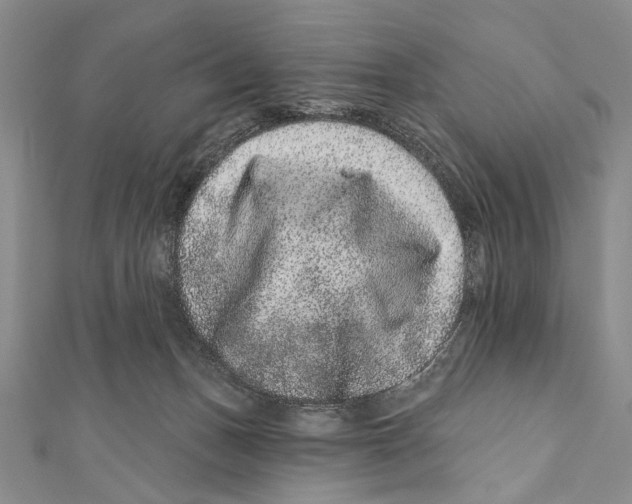 X0000111870175200908201224