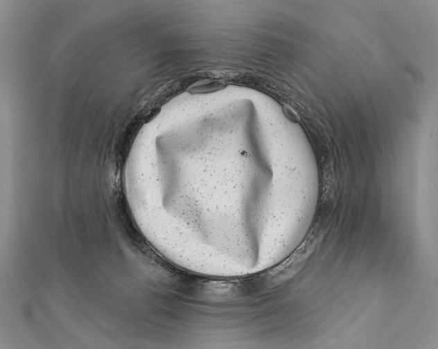 X0000111870176200908201224