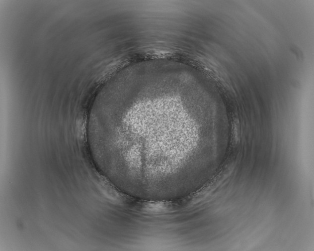 X0000111870177200908201224